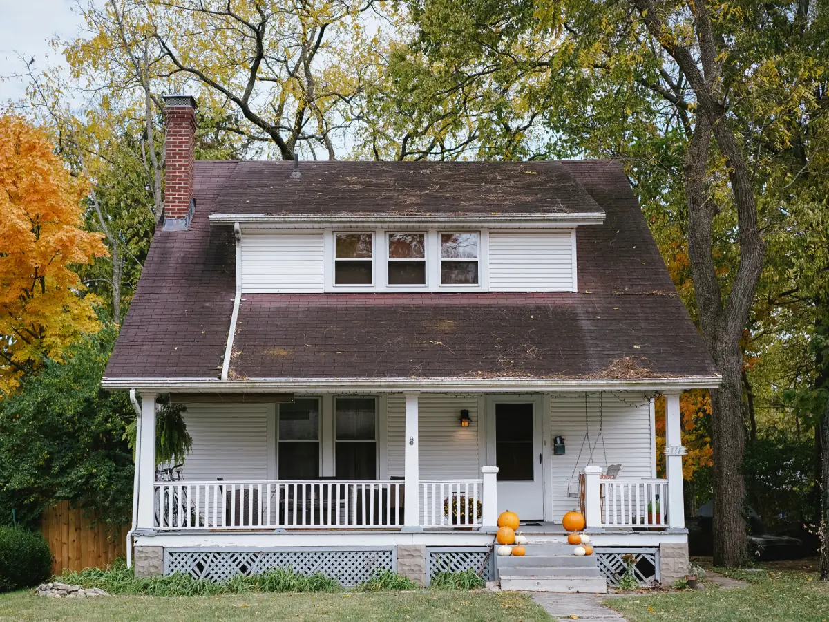 Renovation Strategies