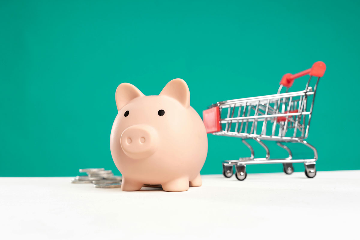 Strategic Investment Planning